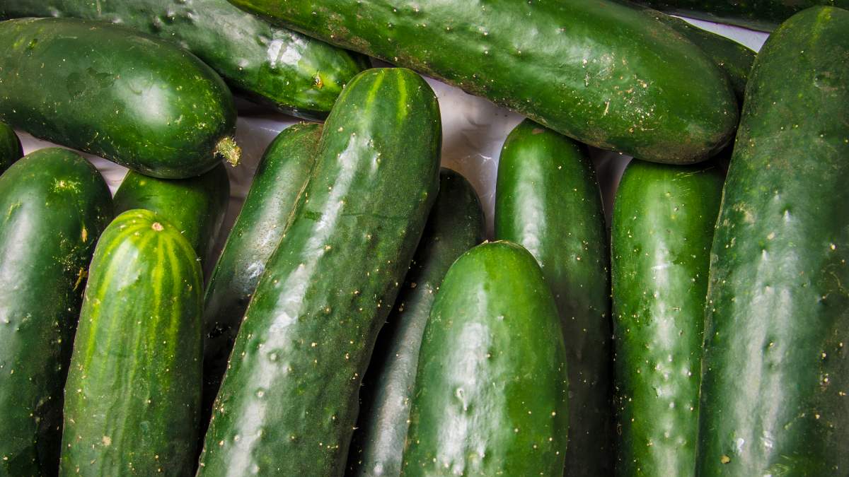 Pepino Beneficios