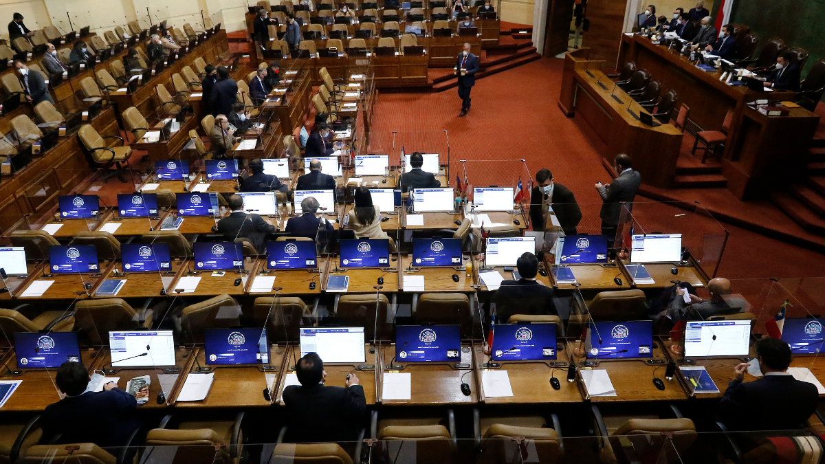 Lista De Diputados Test De Drogas