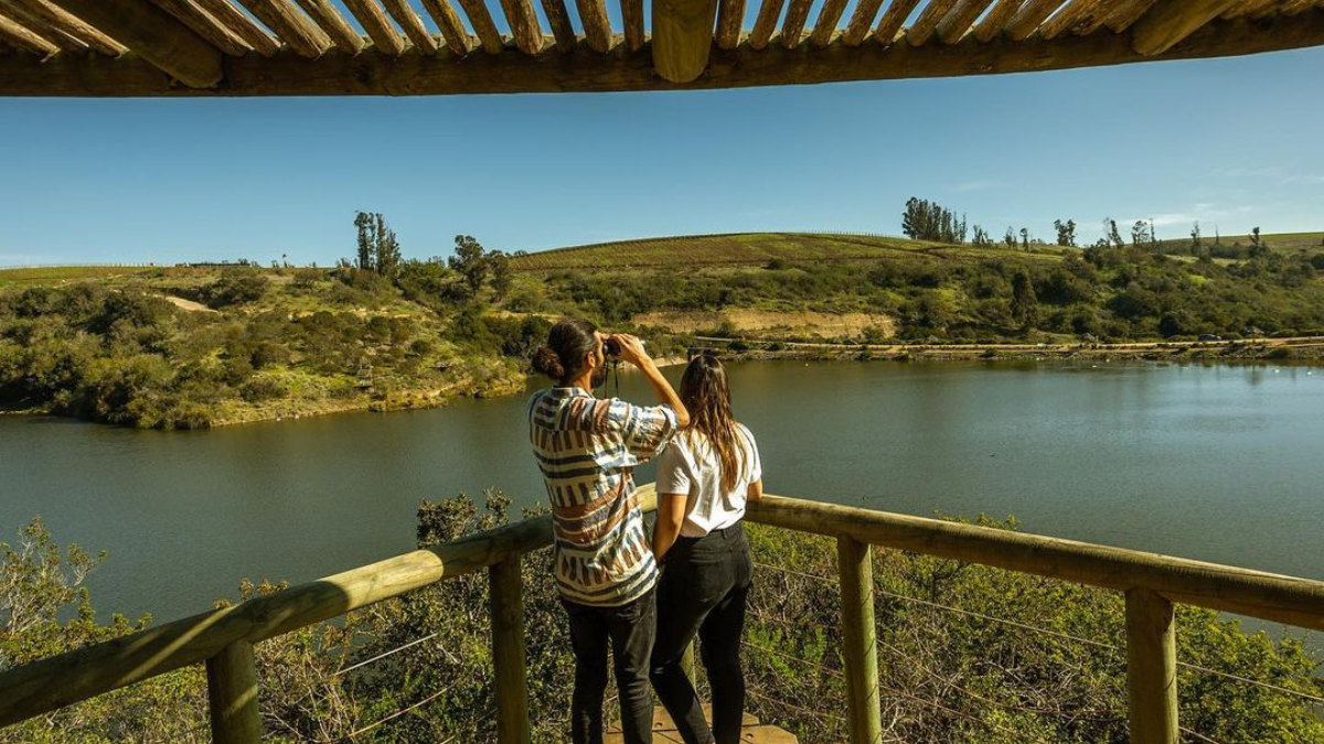 Parque Tricao Concurso