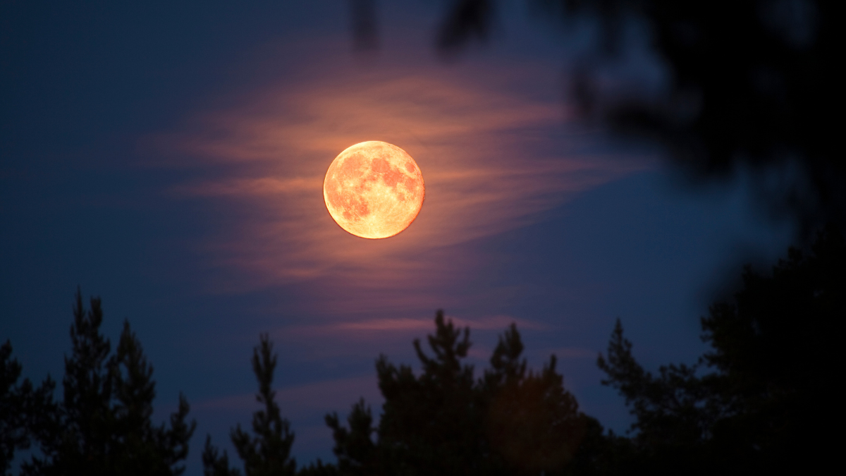 Luna llena del Cazador