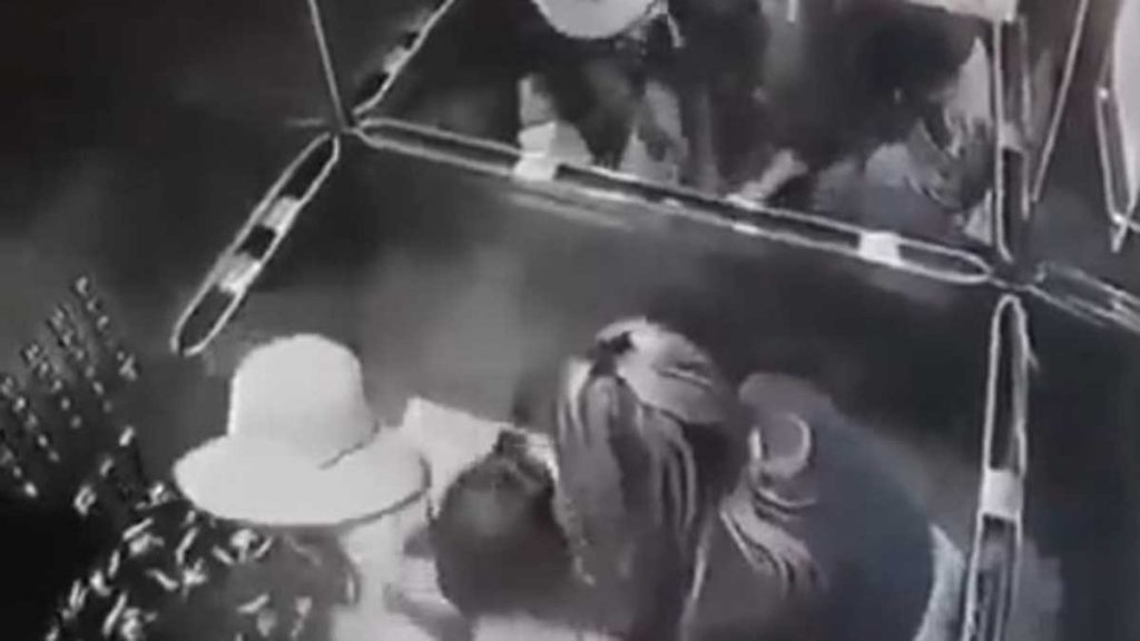 Pelea De Perros En Un Ascensor