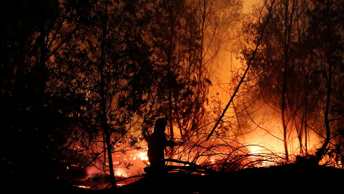 Incendio Viña Del Mar (13)