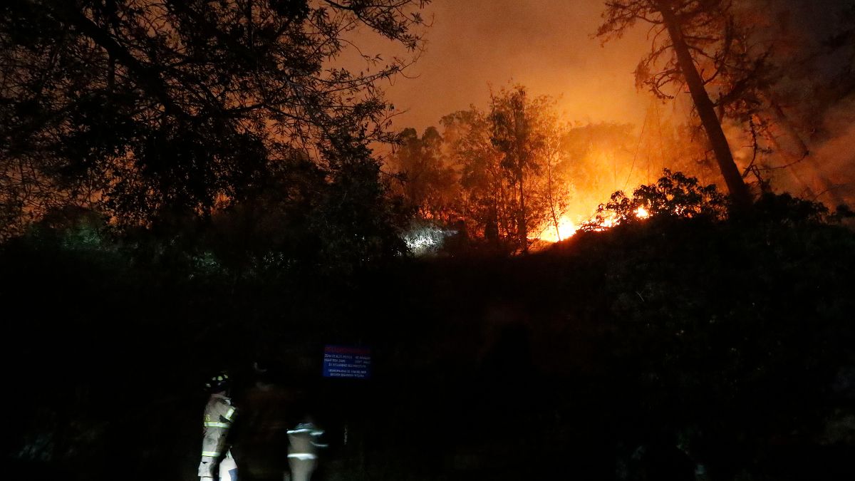 Incendio Viña Del Mar (4)