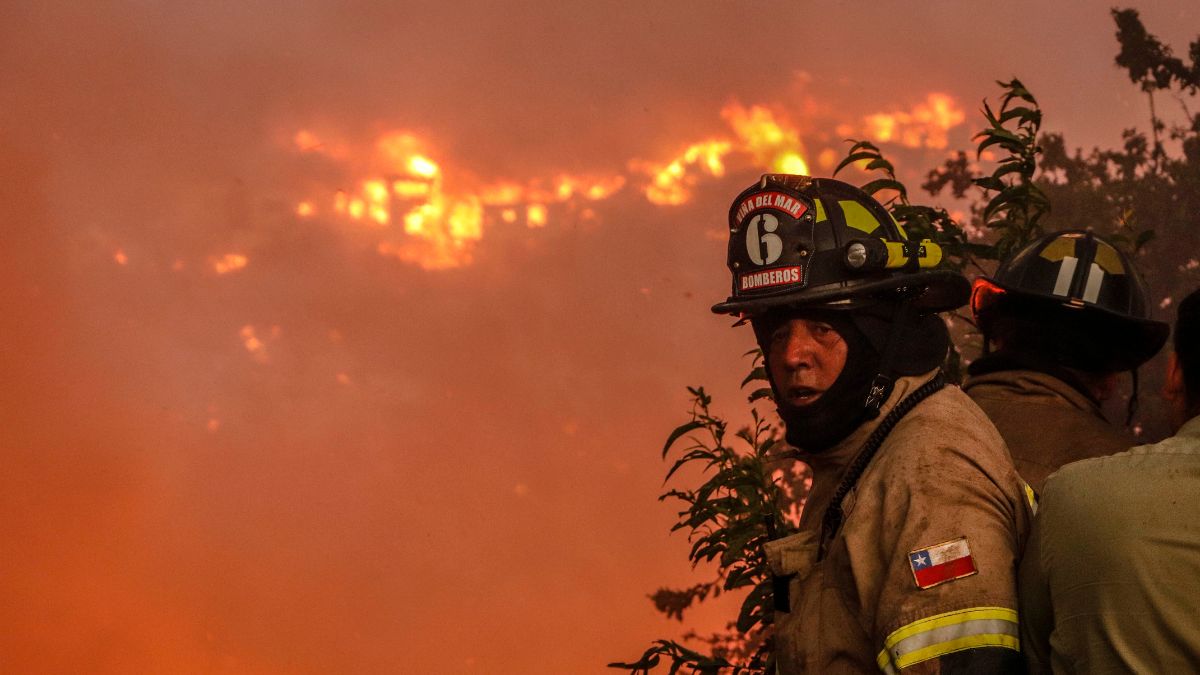 Incendio Viña Del Mar (5)