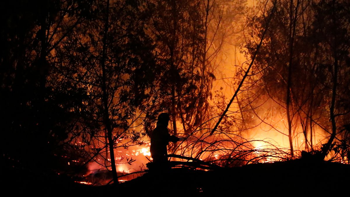 María Luisa Godoy Incendios (1)