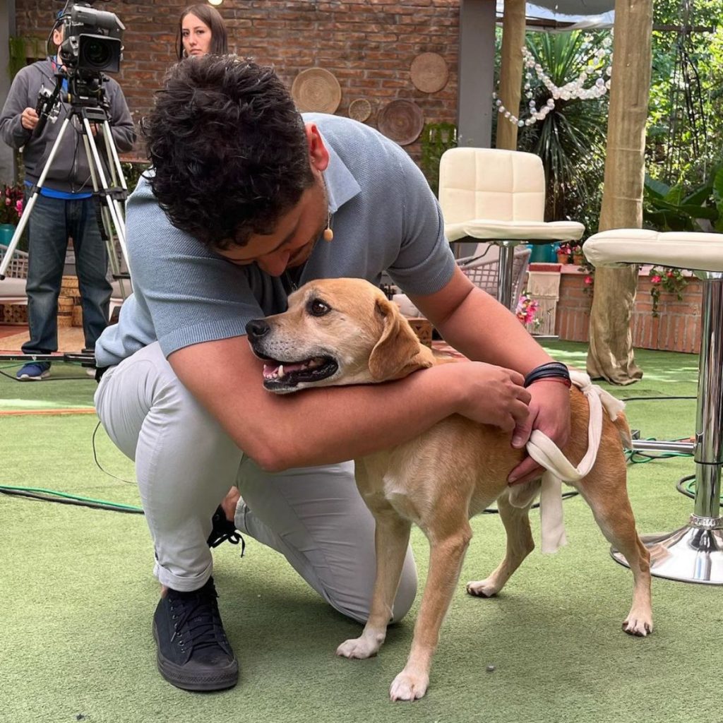 Gino Costa adopción