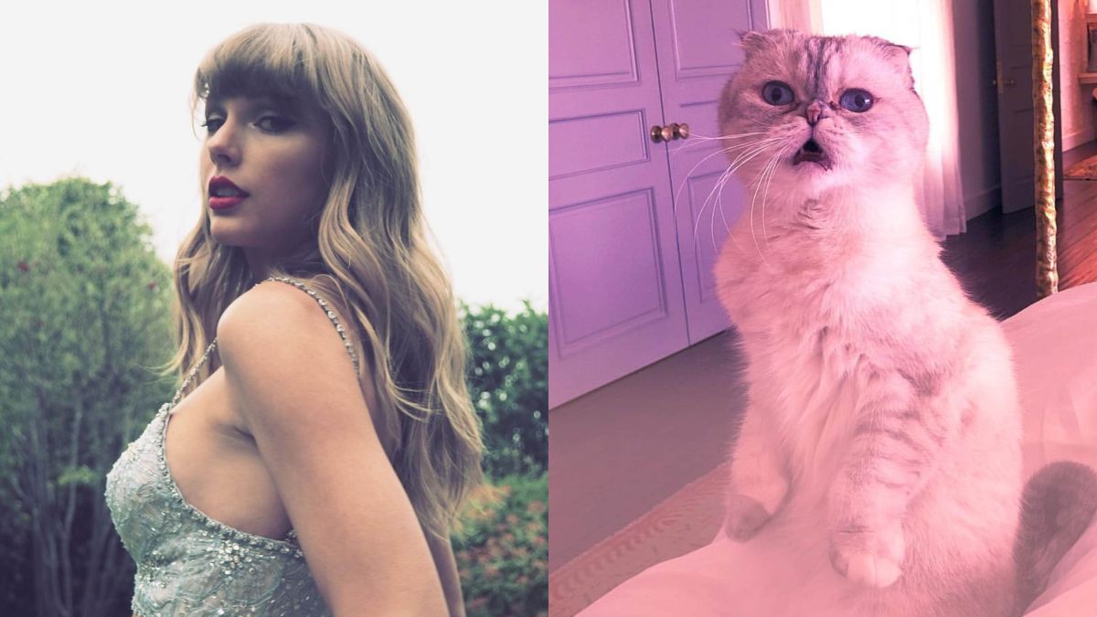 Taylor Swift Gata