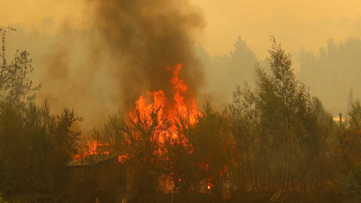 Incendios En Chile