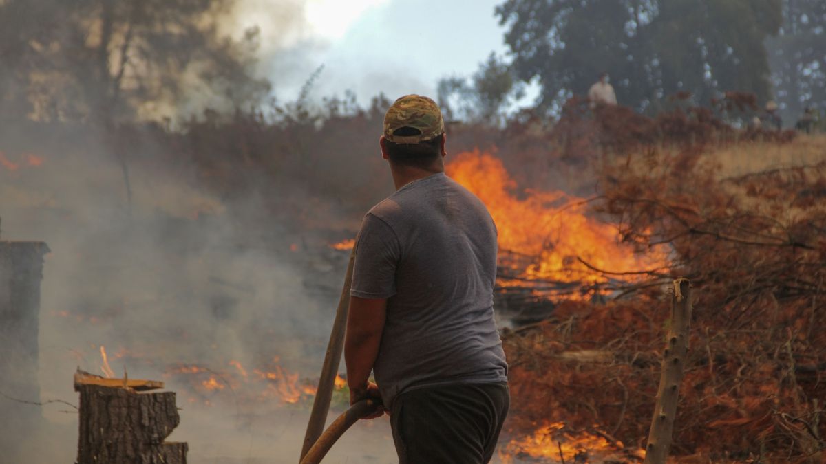 Bono Incendios Forestales