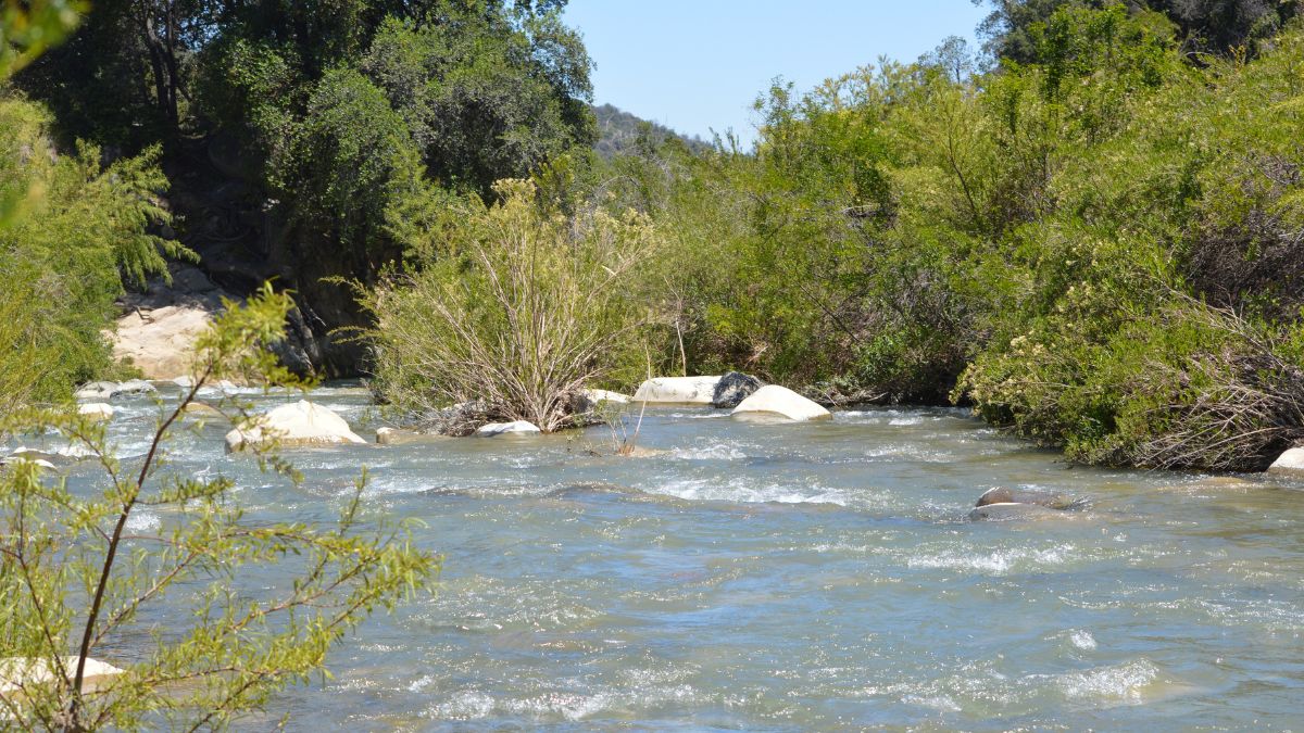 Parque Santiago (96)