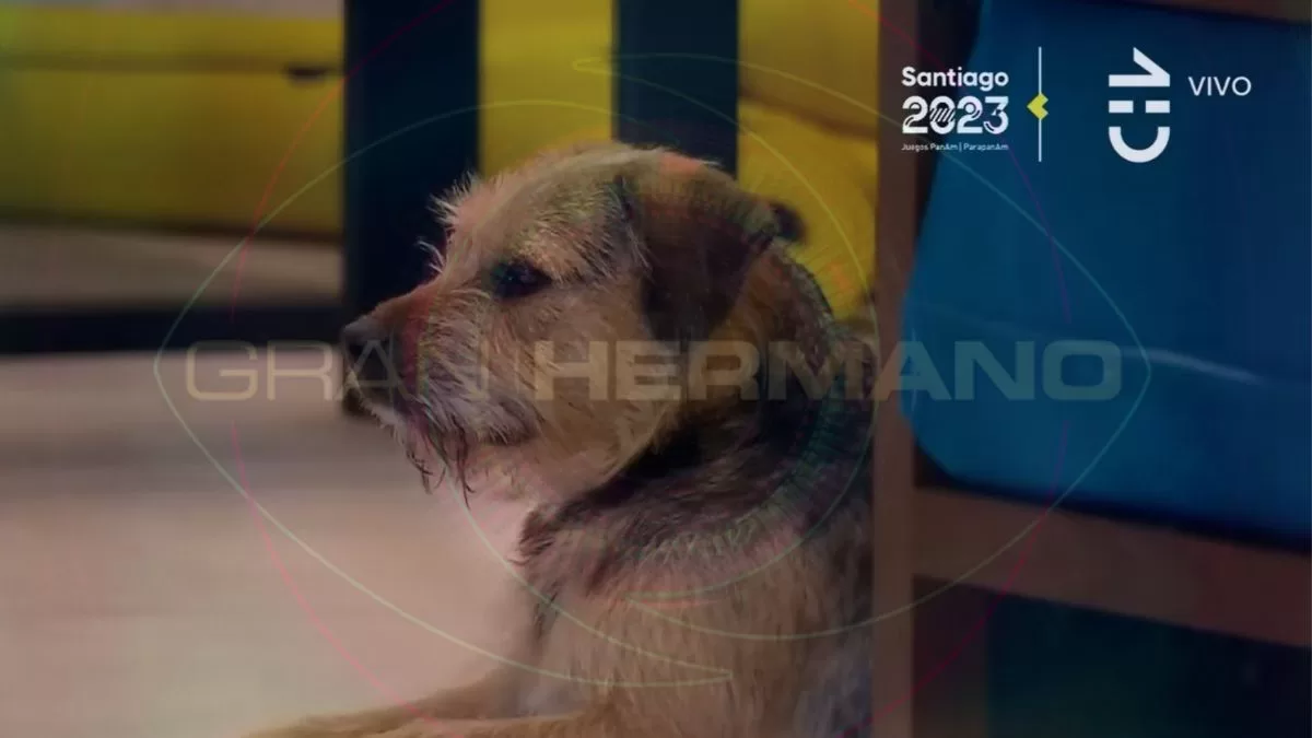 Gran Hermano Chile (58)