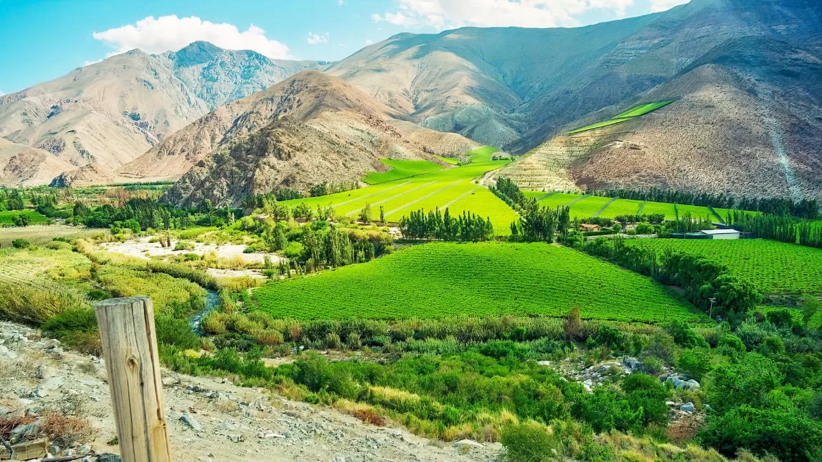 Valle Del Elqui Pasajes