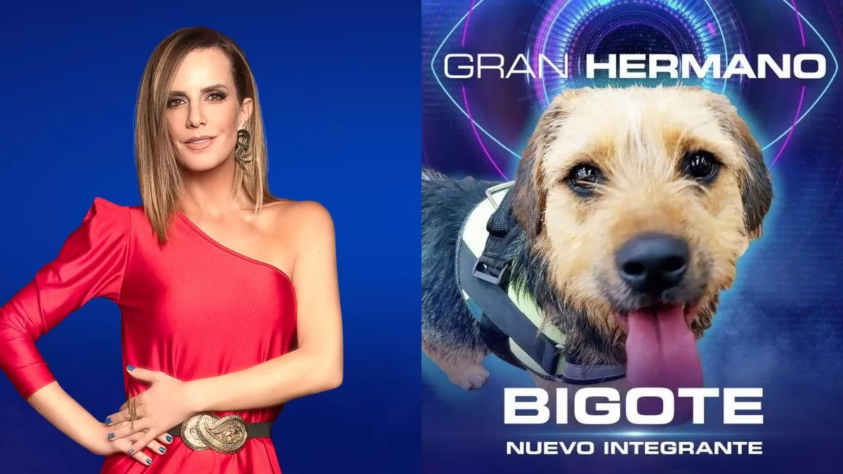 Gran Hermano Chile (36)