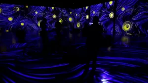 Van Gogh Immersive Art Experience 2