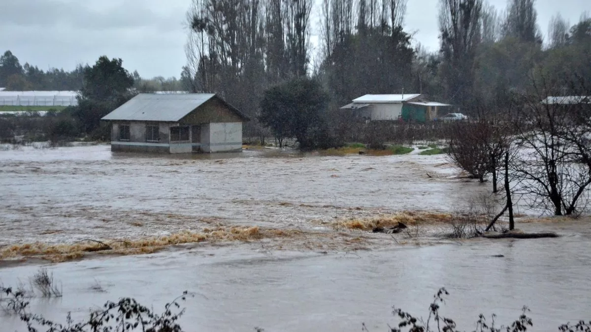 Lluvias En Chile (10)