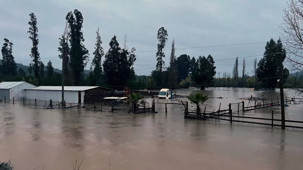 Lluvias En Chile (26)