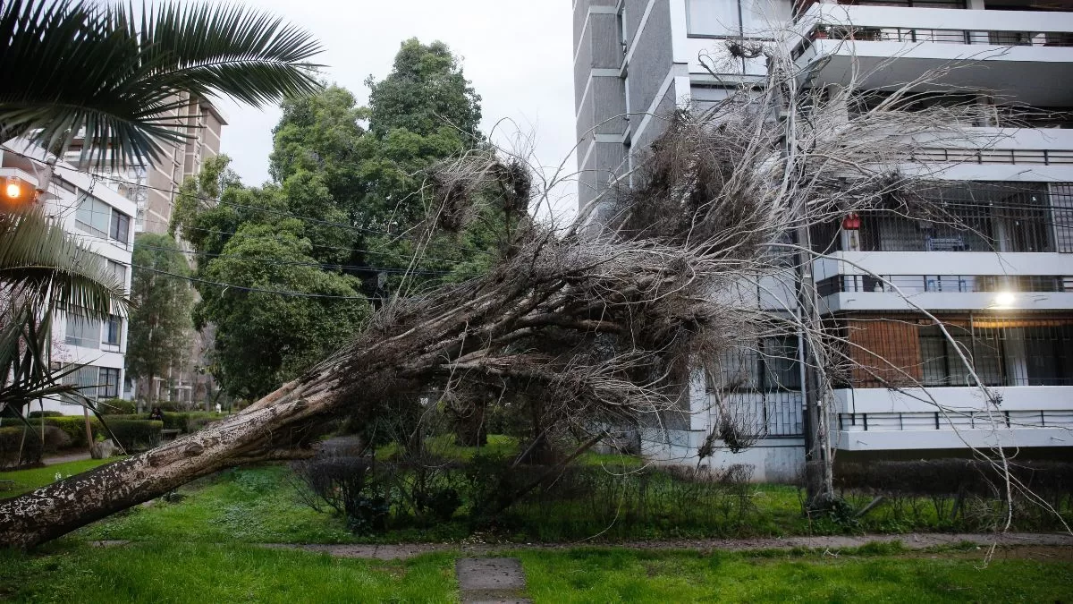 Lluvias En Chile (28)