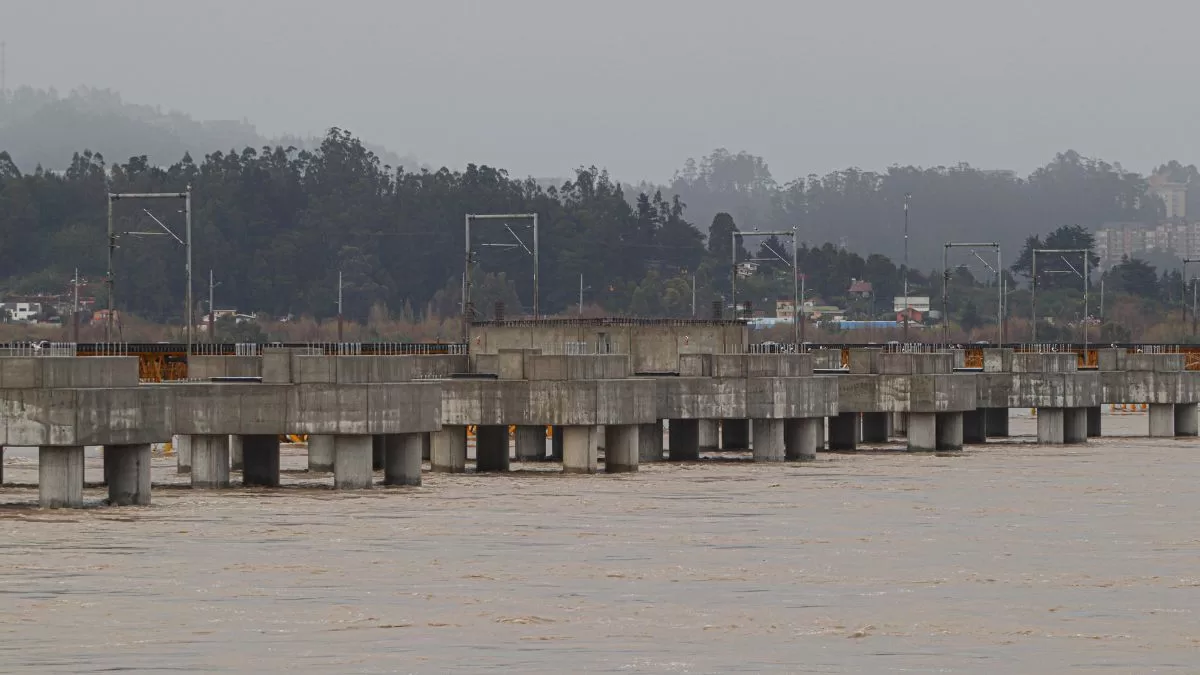 Lluvias En Chile (31)