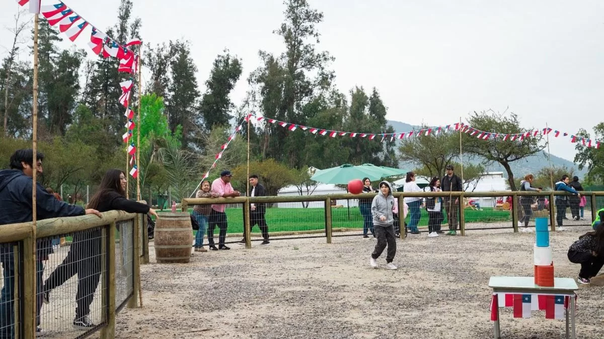 Panorama En Santiago (41)