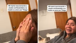 Reacción Comedia