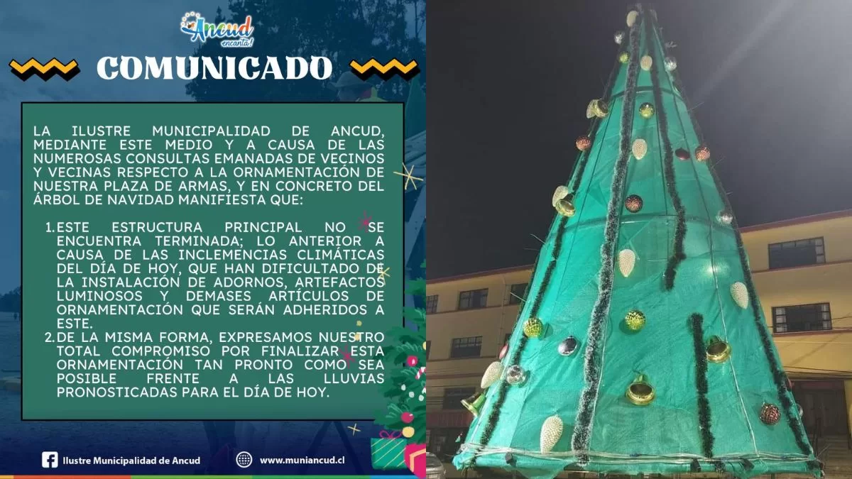 Árbol De Navidad Ancud (1)