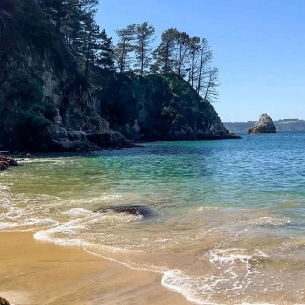 PLaya Secreta En Región El Biobío