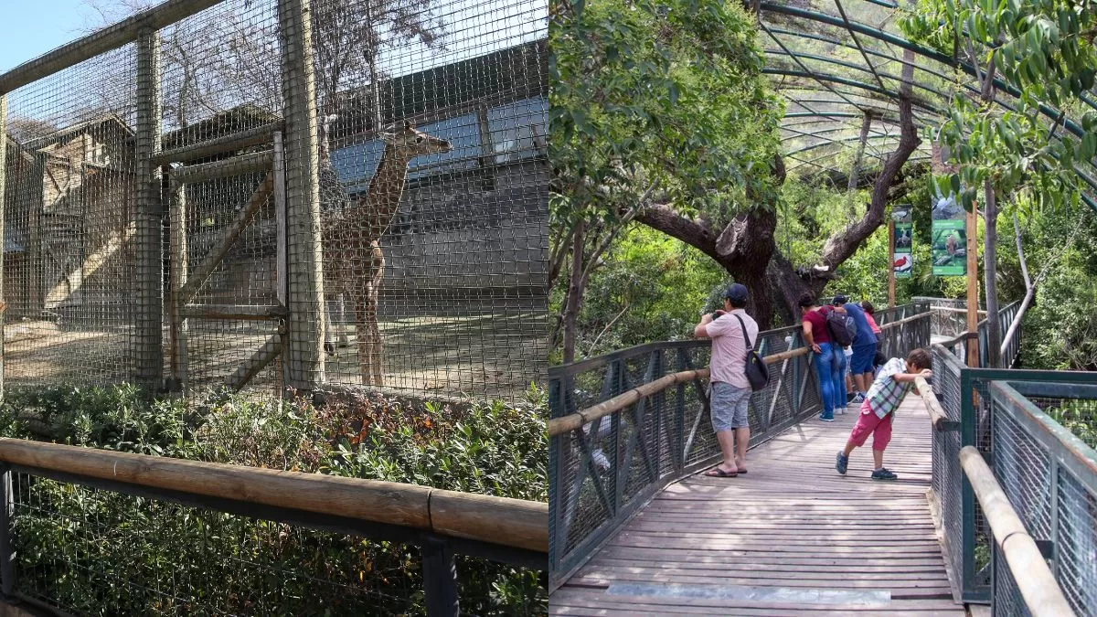 Zoológico Nacional