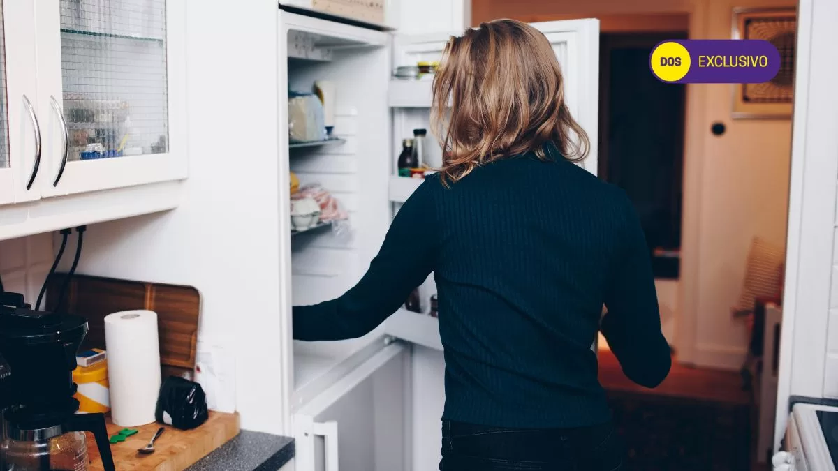 Alimentos Refrigerador