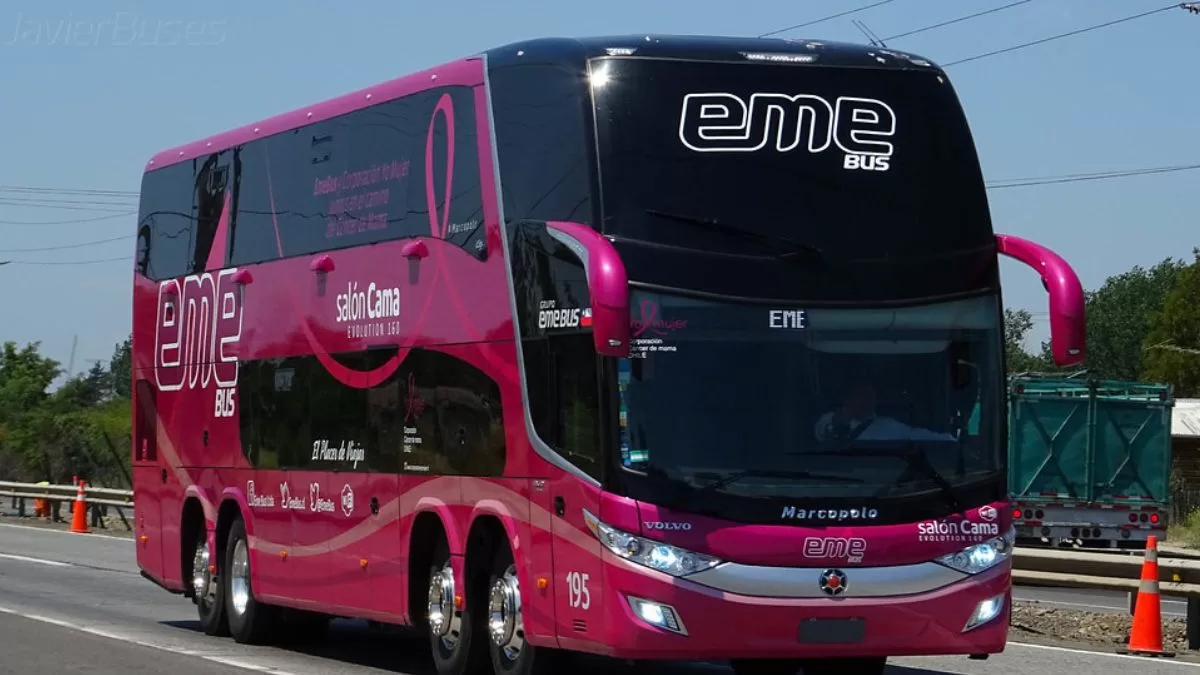 Eme Buses