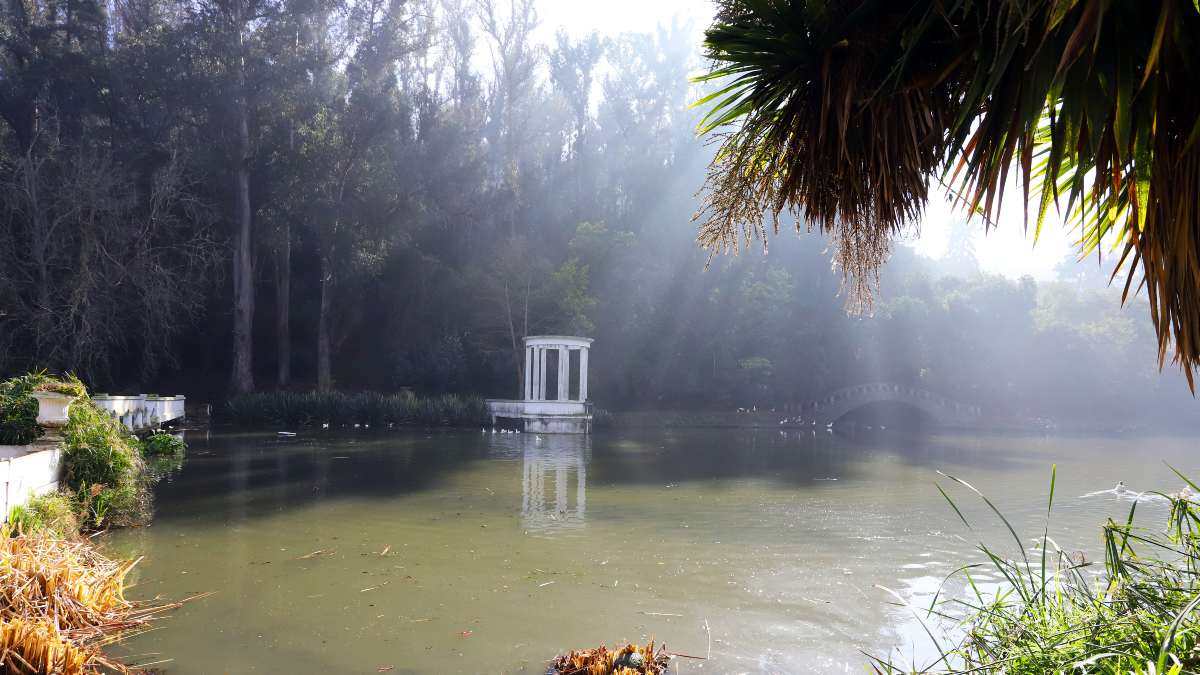 Jardin Botanico 