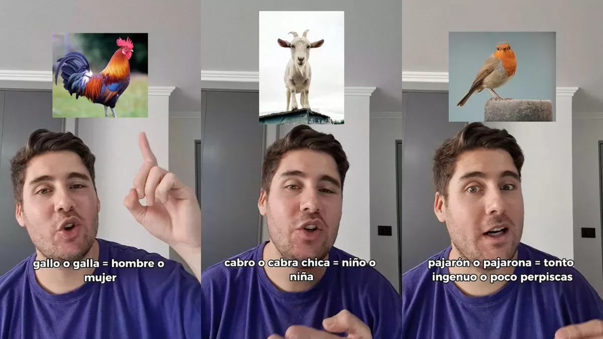 Viral En TikTok (1)