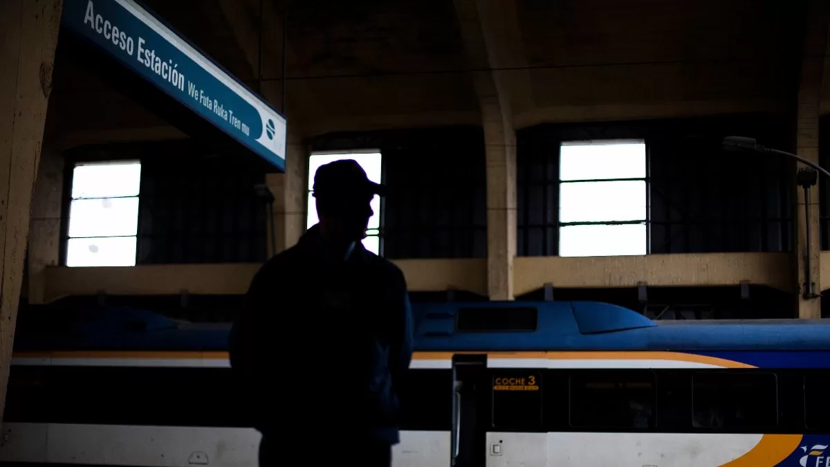 Tren Santiago Temuco (1)