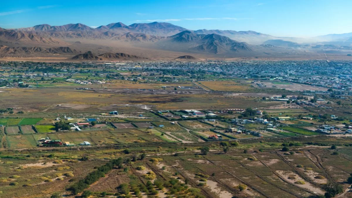 Calama Trabajo (1)