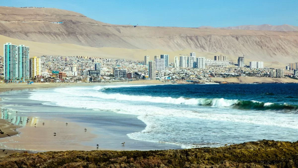 Iquique Trabajo (1)