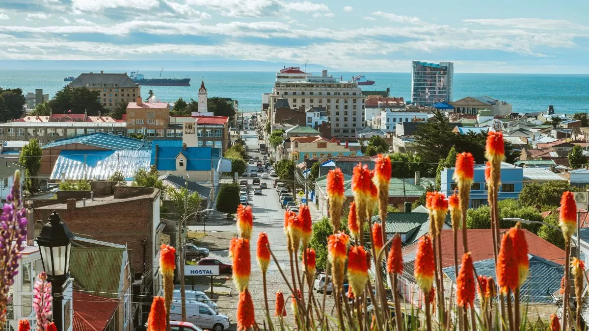 Punta Arenas Trabajo (1)