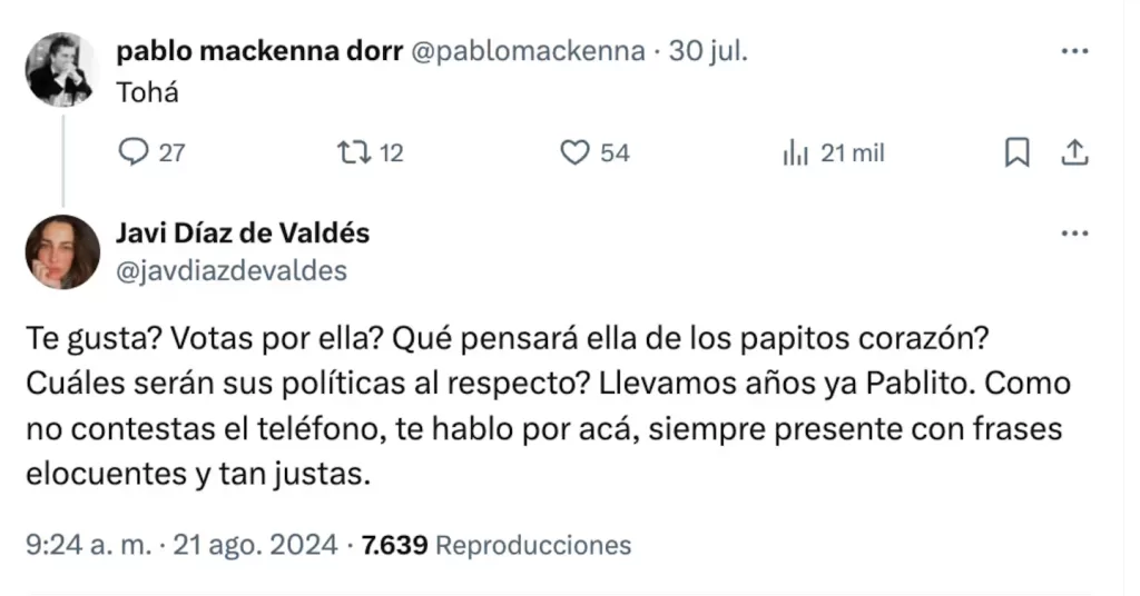 Javiera Diaz De Valdes Pantallazo