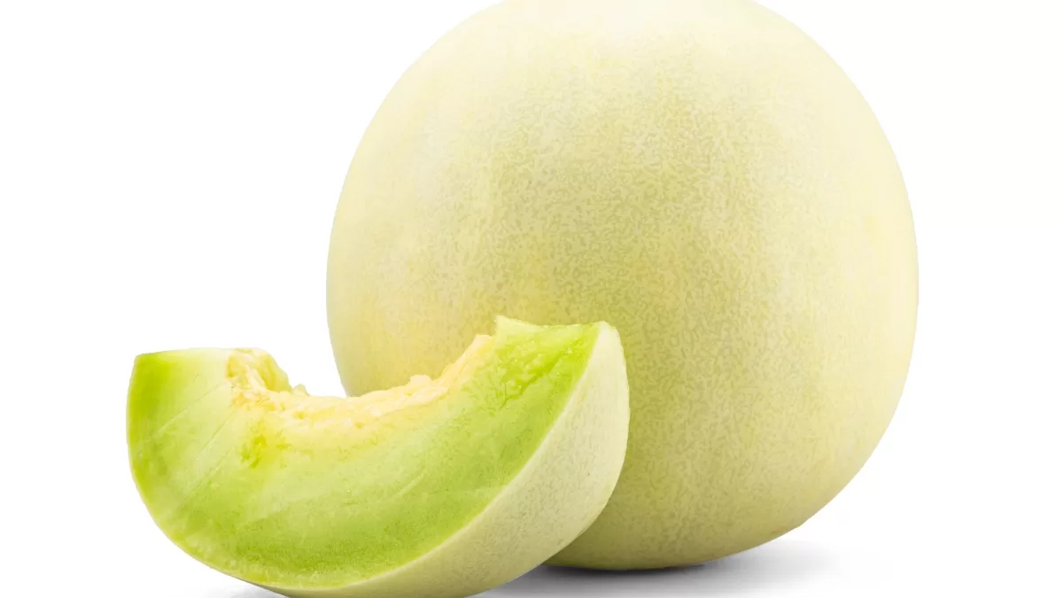 Melón