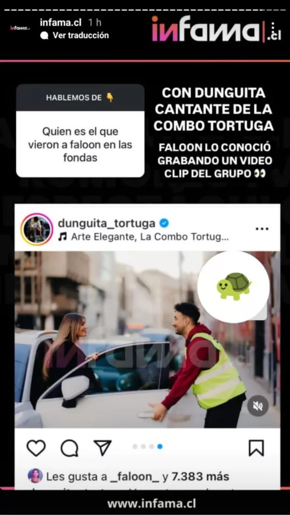 Faloon Larraguibel Dunguita Tortuga3