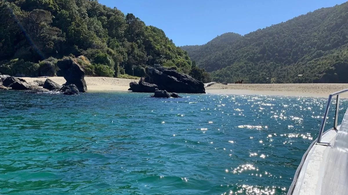 Caleta Cóndor (1)