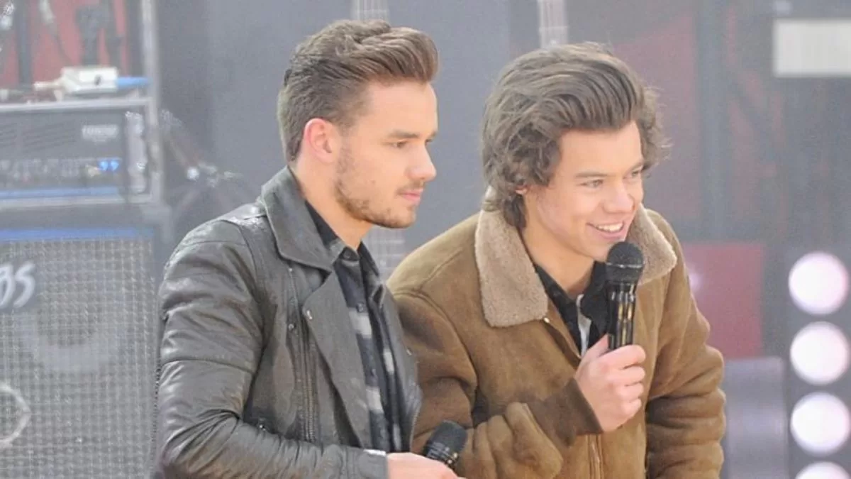 Harry Styles   Liam Payne