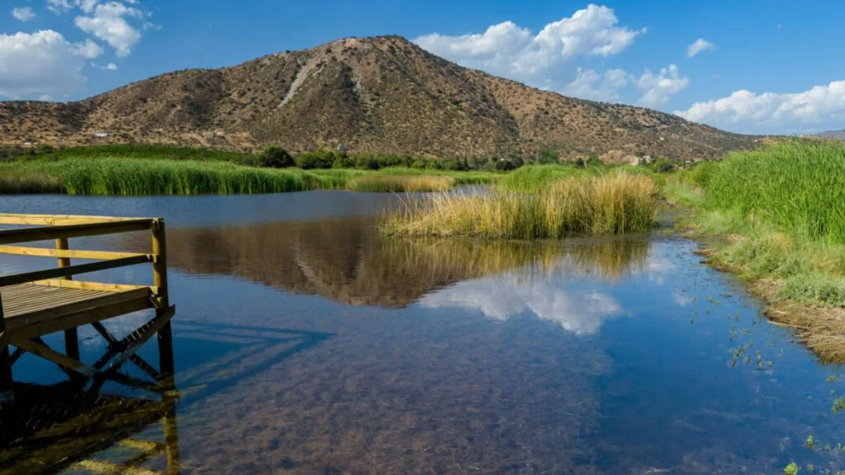 Laguna De Batuco (1)