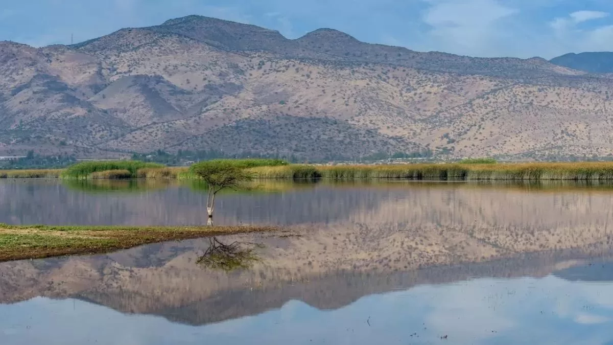 Laguna De Batuco (3)