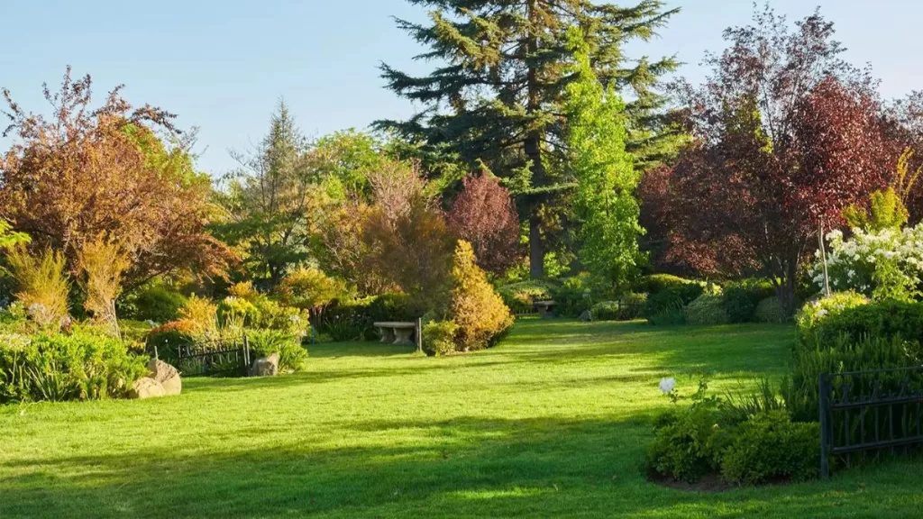 Parque En Santiago (1)