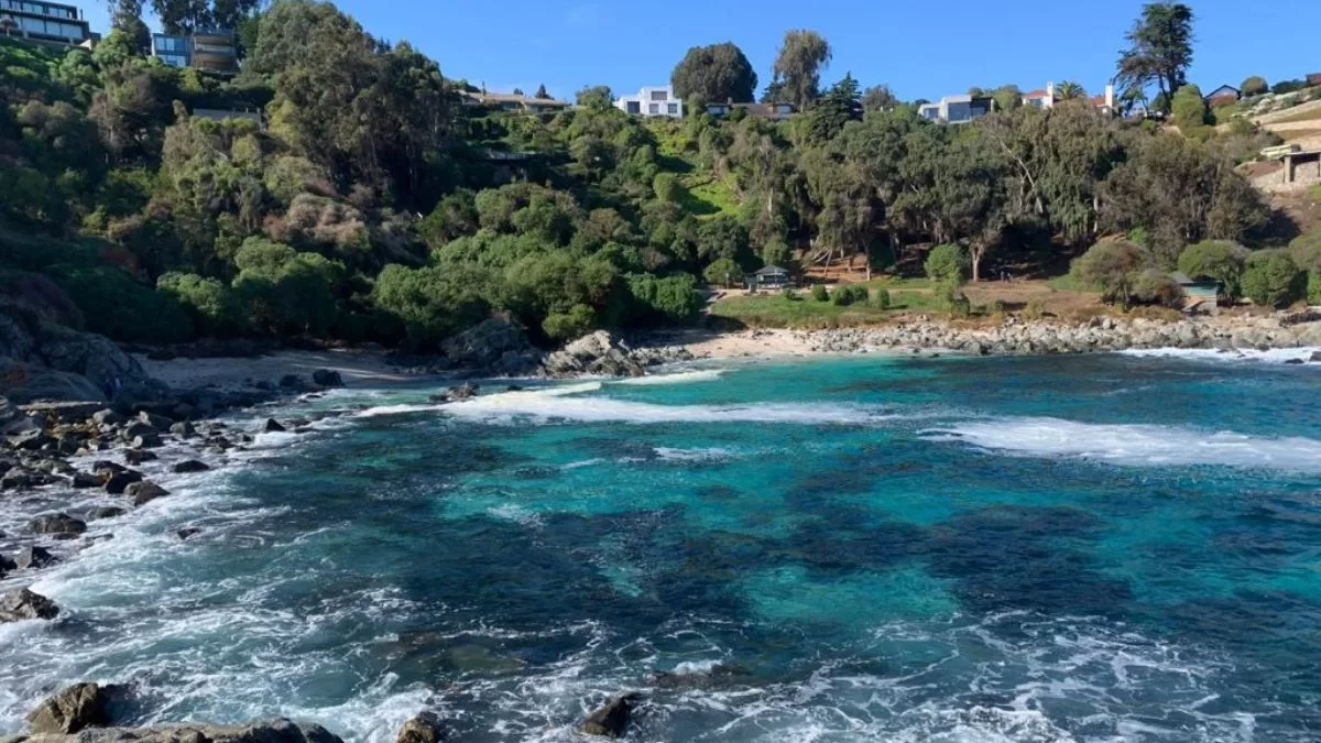 Playa Las Cujas (1)