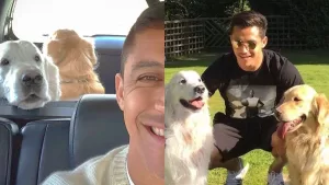 Alexis Sánchez  Atom Y Humber