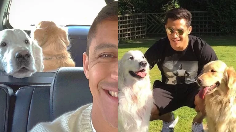 Alexis Sánchez  Atom Y Humber