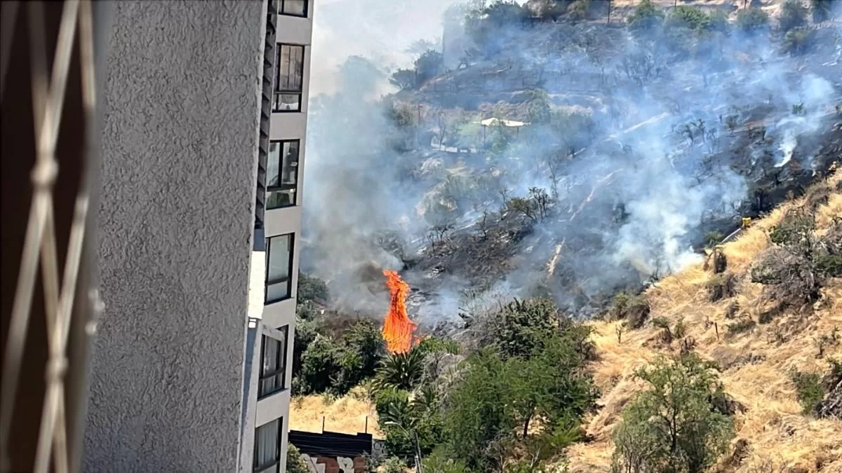 Incendio Cerro San Cristóbal (2)