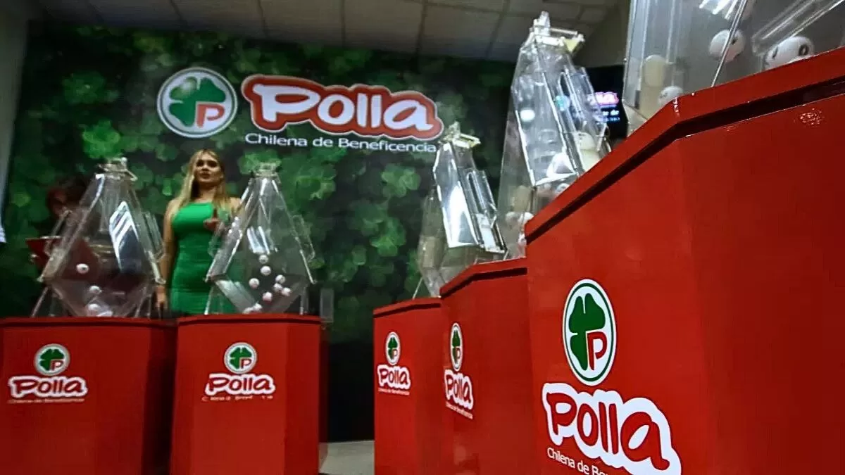 Polla Chilena (2)