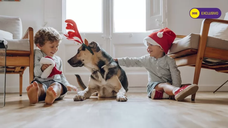 Cuentos Navideños