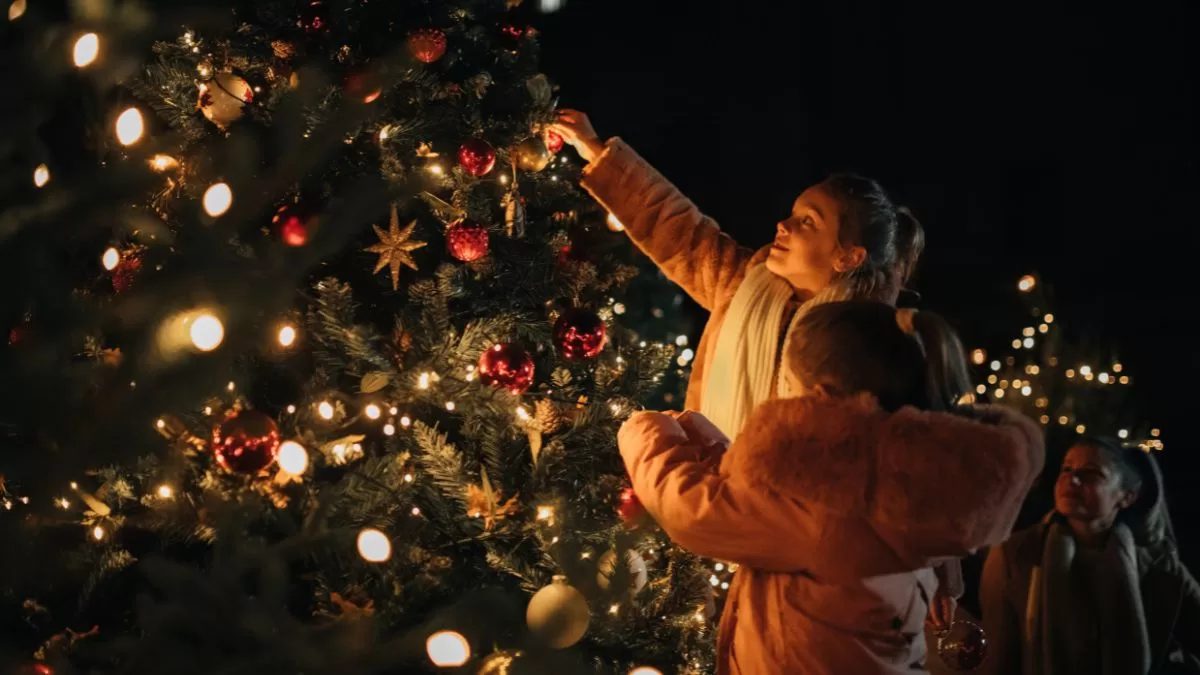 Fotografiados Del Amor Por Navidad